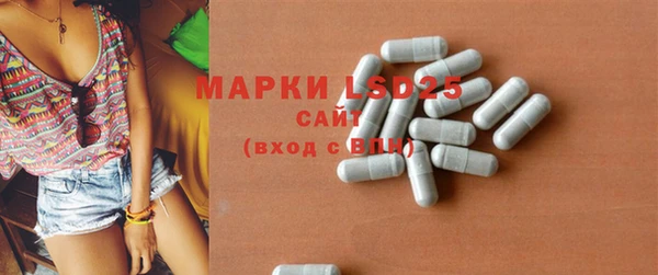 мдпв Горнозаводск
