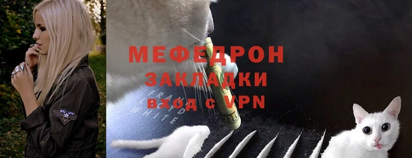 мдпв Горнозаводск