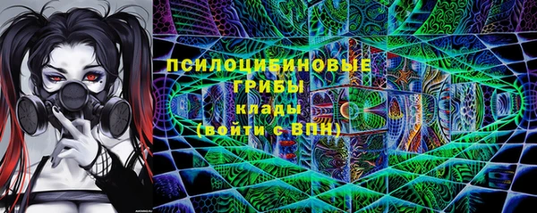 мдпв Горнозаводск