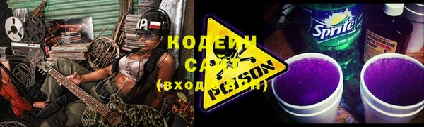мдпв Горнозаводск