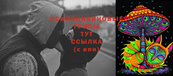 метадон Гусев